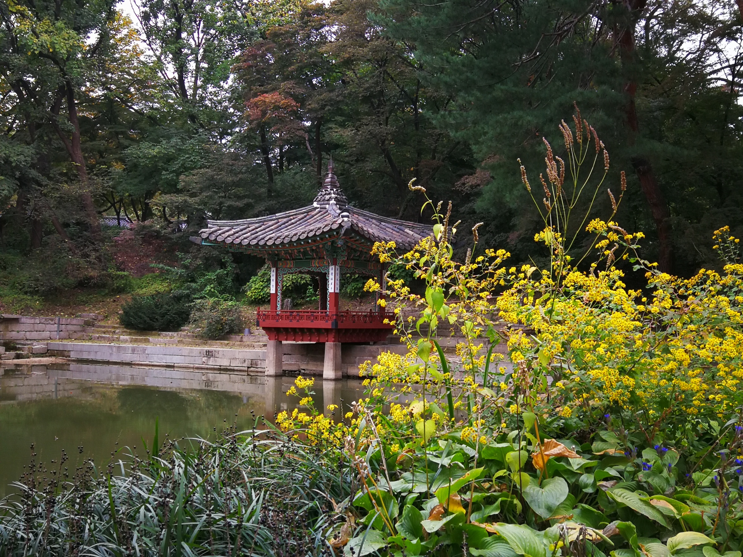 Huwon The Secret Garden Of Changdeokgung Palace Kpop Jacket Lady